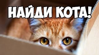 Найди кота, часть 3 🐈 БУДЬ В КУРСЕ TV Найди кота, часть 3 🐈 БУДЬ В КУРСЕ TV