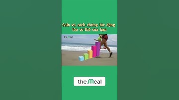 TẠI SAO CALO QUAN TRỌNG | the Meal