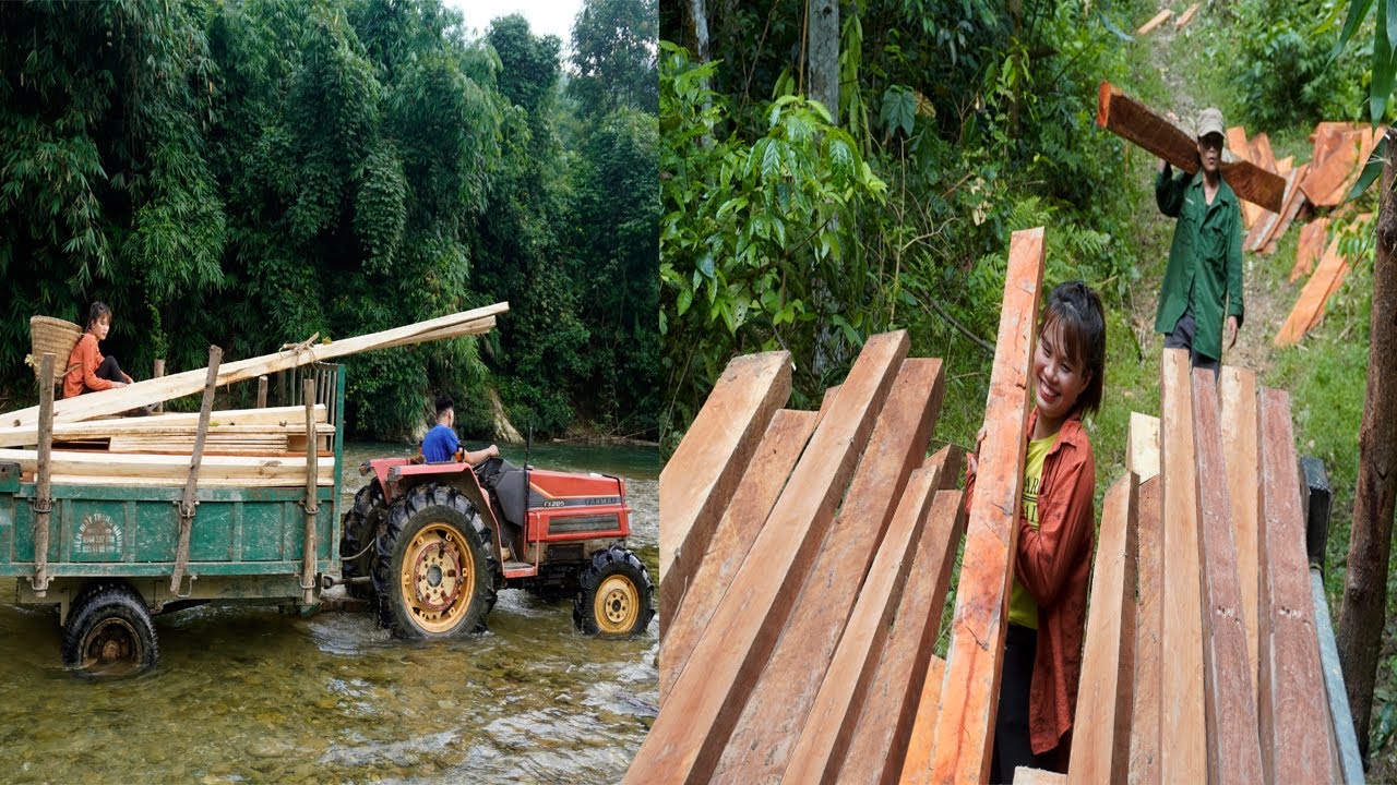 The single mother carries wood from the forest to the new farm ...