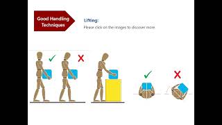 Manual Handling   Demo