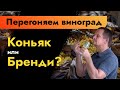 Перегоняем виноград Коньяк или бренди Виноградный дистиллят от браги до бочки