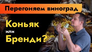 Перегоняем виноград | Коньяк или бренди? | Виноградный дистиллят от браги до бочки