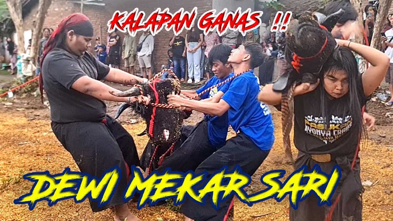 BANTENGAN DEWI MEKAR SARI GANAS KESURUPAN‼️BOCIL SRUITAN NAKAL JADI TARGET SASARAN!