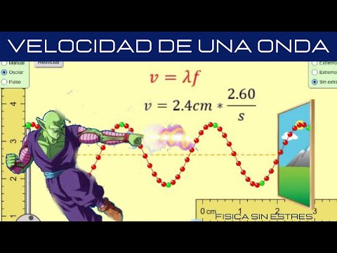 Vídeo: Diferencia Entre Velocidad De Onda Y Frecuencia De Onda