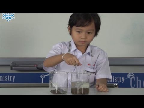 กิจกรรม ในดินมีอะไรบ้างตอนที่ 4 วิทยาศาสตร์ ป.1