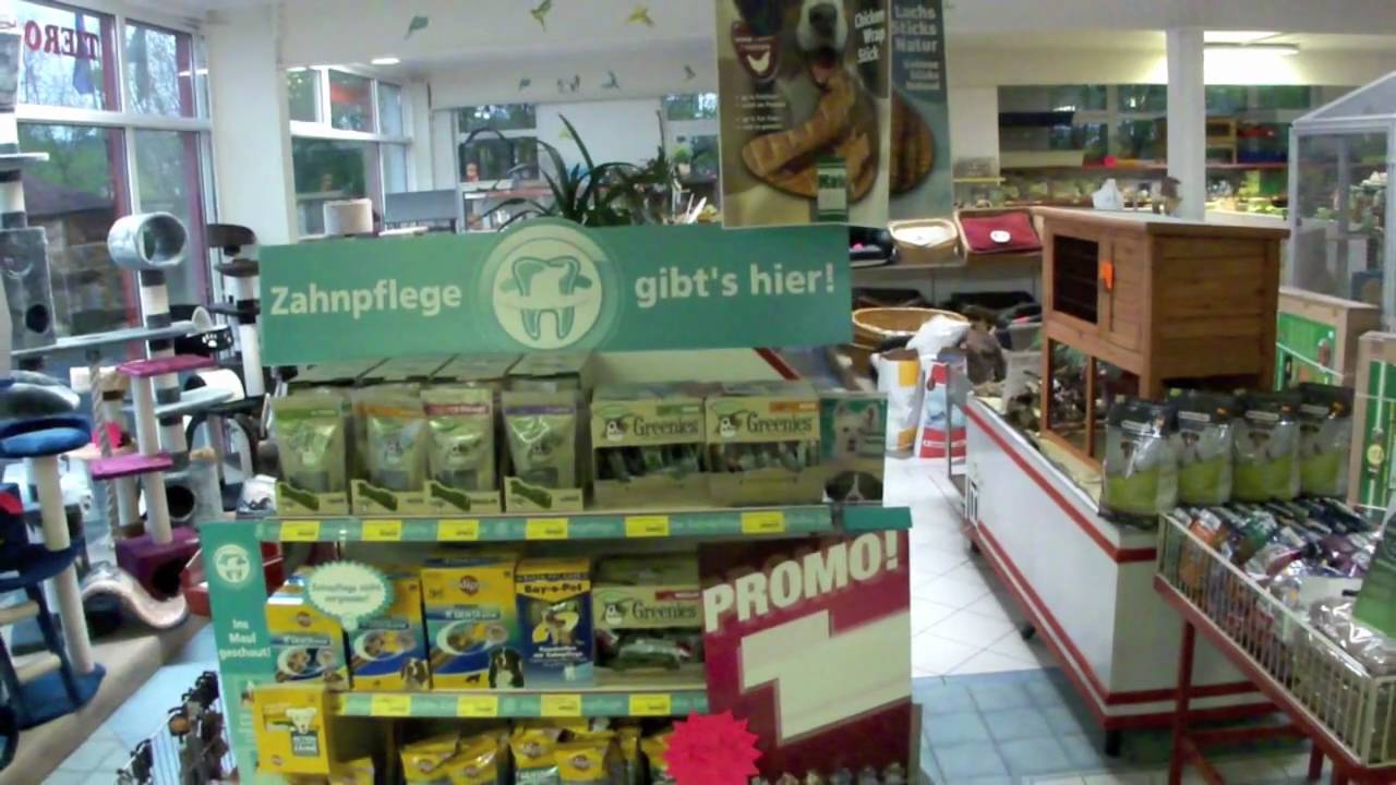 Tieroase / Das Zoogeschäft nähe Köln YouTube