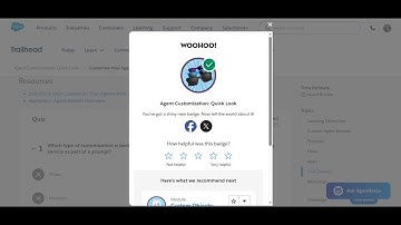 Agent Customization: Quick Look in Traihead Salesforce 2025!