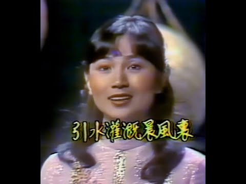 鳳飛飛  1979中視一道彩虹棚內《沒有泥土哪有花》