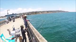 Fishing ob pier. memo: we kept below the limit of 5 bonito per person.
rest were just mackarels. two cudas under 28 inches, catch picture
release.