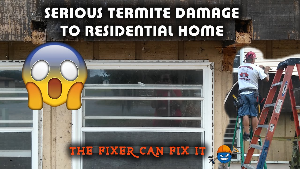 Home with serious TERMITE DAMAGE. The FIXER to the rescue.. - YouTube