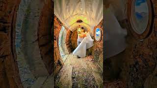 🌳 A House Inside a Tree Trunk? Watch the Magic Happen! 🏡✨#TreeHouse #NatureLovers
