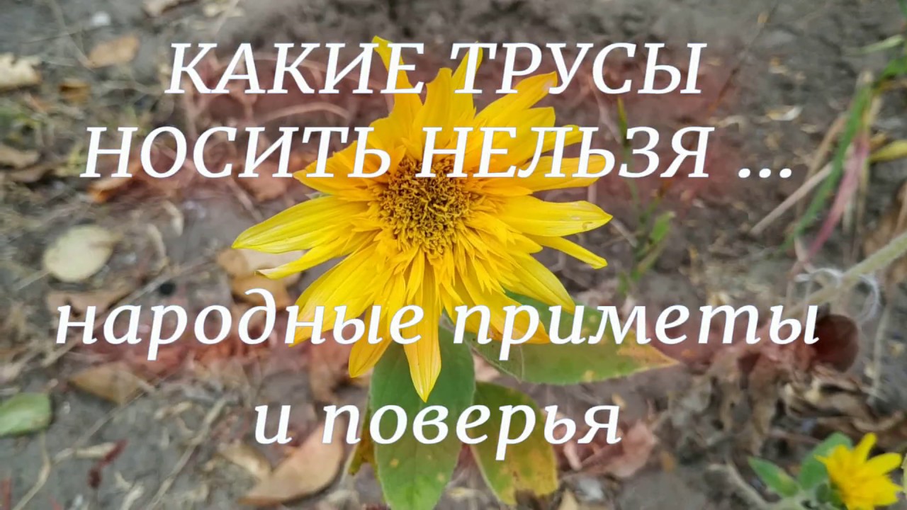 НАРОДНЫЕ ПРИМЕТЫ И ПОВЕРЬЯ .
