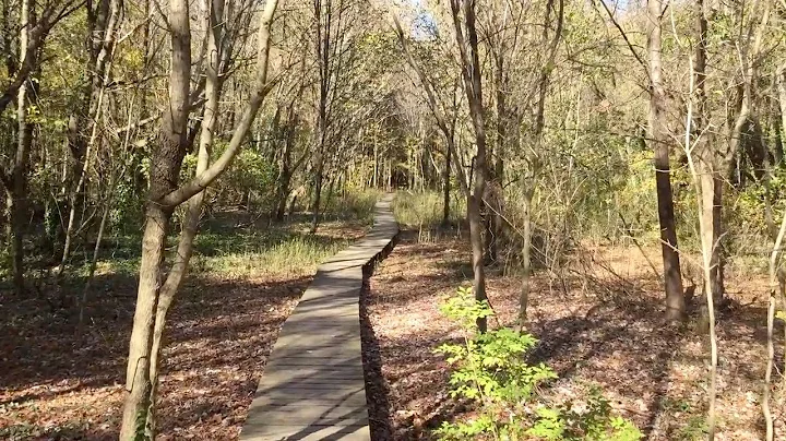 Clyde Shepherd Nature Preserve Park Hike