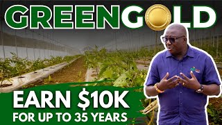 The Hidden Benefits of Greenhouse Agriculture in GHANA Revealed