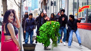 Unexpected Reactions Indian Canadian Encounter with Bushman Prank