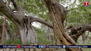 Best Tourist Places In Mahabubnagar District  | Telangana |  T News -Watch Exclusive