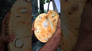 What Is One Silent Struggle Most People Never Talk About?