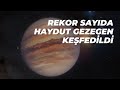 Rekor sayda haydut gezegen kefedildi