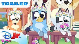 Novembers Weekend Marathon  Disney Jr Mena