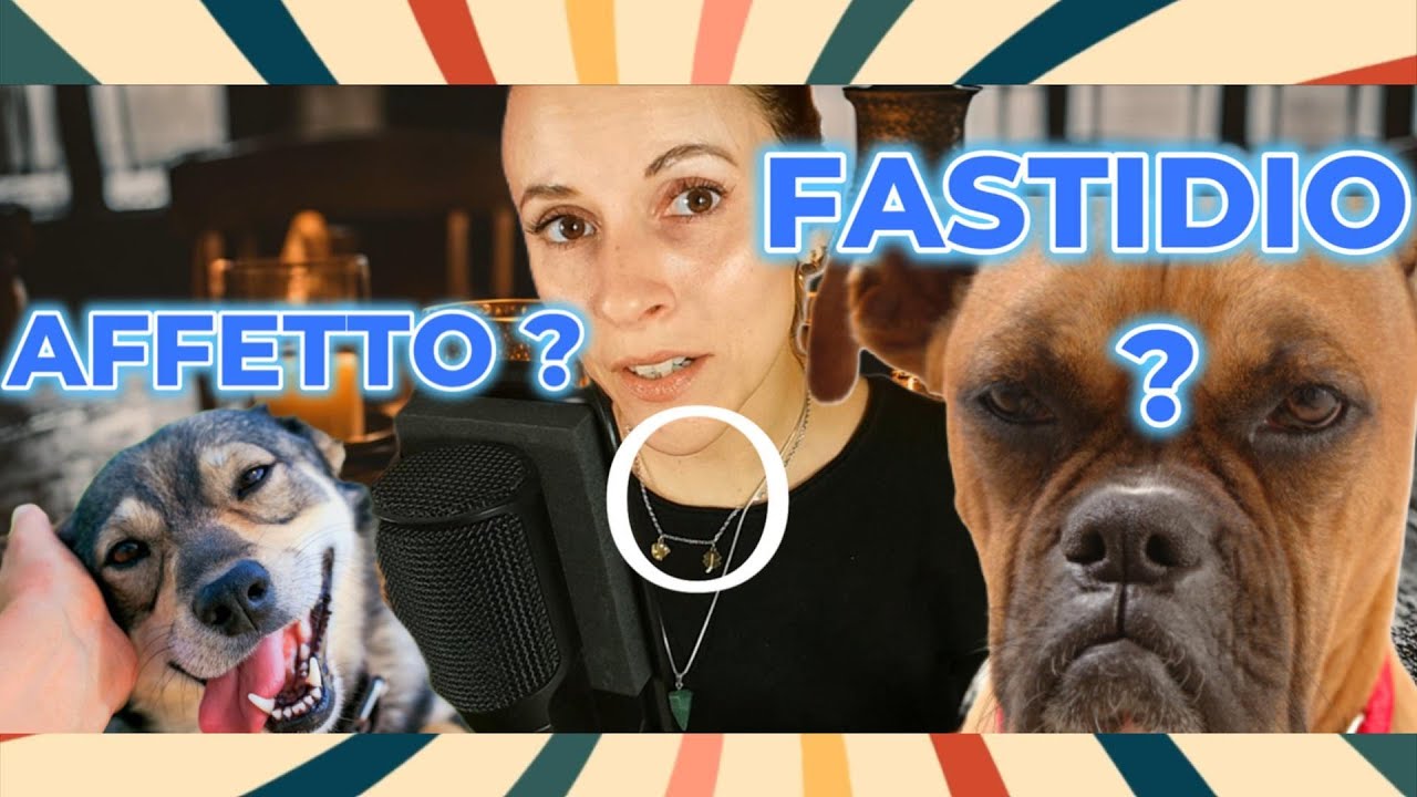 Baci e abbraci al cane, affetto o fastidio ?