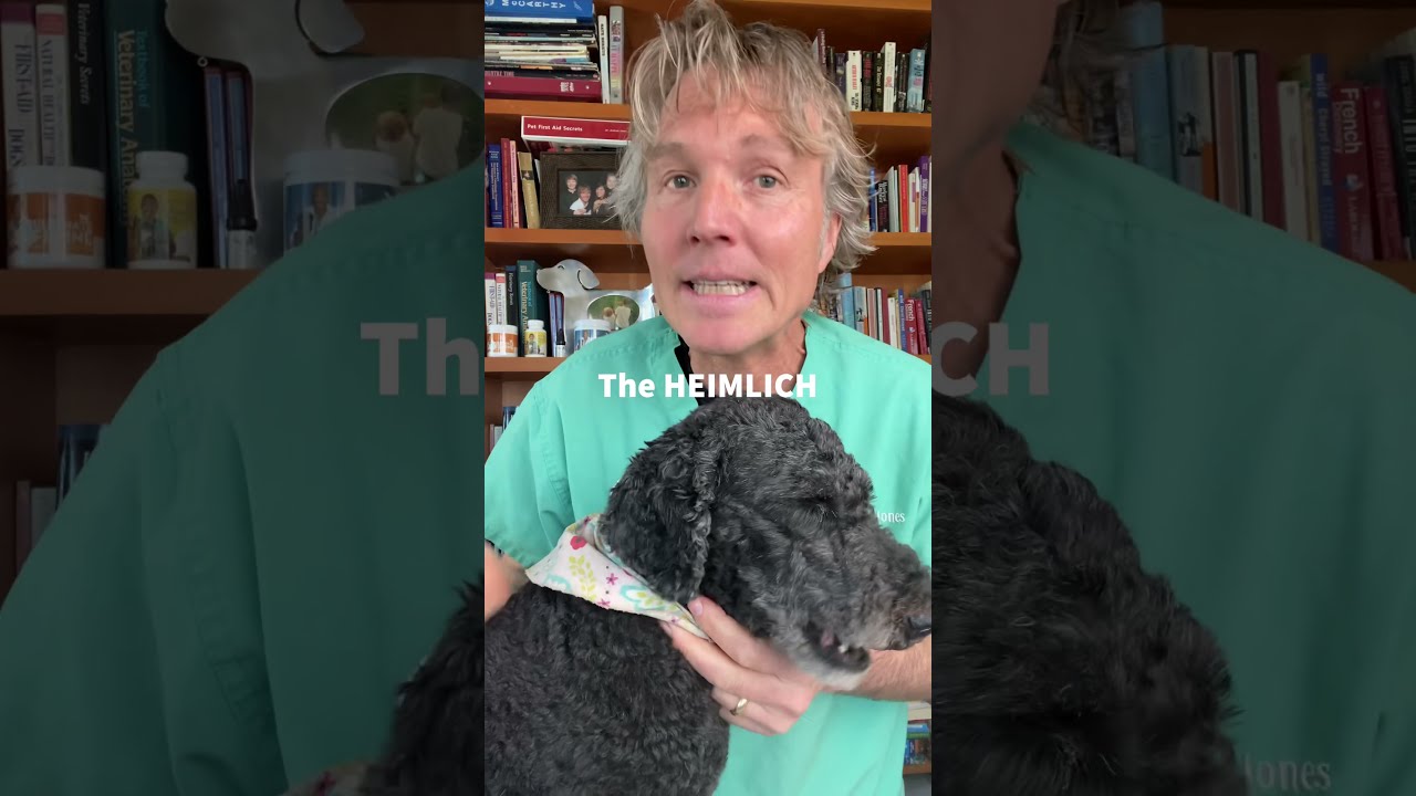 Dog Choking How To Do The Heimlich Shorts