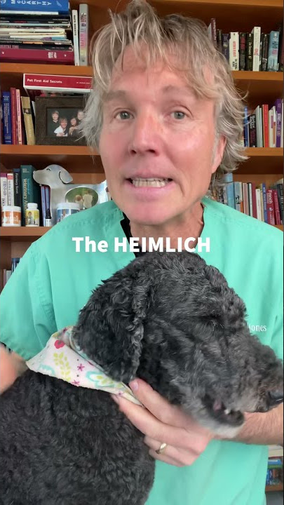 Dog Choking? How To Do The Dog Heimlich #Shorts