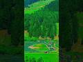 Heaven on Earth 😍 | #Switzerland #youtubeshorts #youtube #nature #19s'song#viral #explore #travel