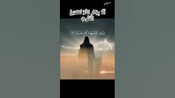 راحة نفسية لا توصف #قرآن #قران_كريم #قران #قرآن_كريم #رمضان #quran #تلاوة_خاشعة #تلاوات #تلاوة_هادئة