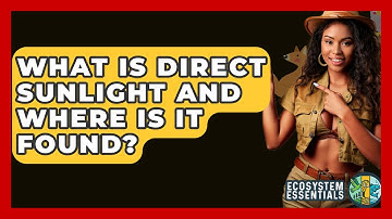 What Is Direct Sunlight And Where Is It Found? - Ecosystem Essentials