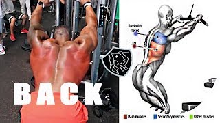 تمارين الظهر المهمةوالفعالة للتضخيم والتعريض|Effective back exercises for amplification and exposure