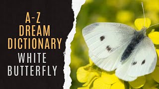 White Butterfly Dreams Explained | White Butterfly Dream Analysis | Dreaming About White Butterfly