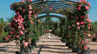 El jardín botánico de Alcalá,  'pulmón' de la Universidad alcalaína