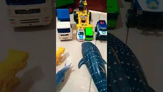 short abcd whale shark police car shortvideo