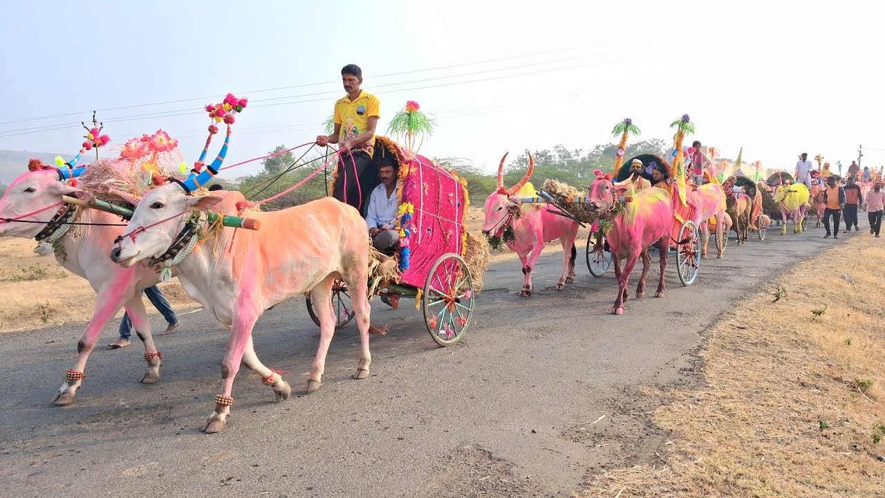 बिरुदेव निघाले बहीण मायक्कादेवीच्या यात्रेला महाराष्ट्रासह कर्नाटक राज्याचे या सोहळ्याकडे लक्ष !