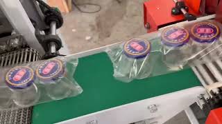 Packaging Solution for Glass Bottles with Horizontal Flow Pack Shrink Machine & POF Shrink Film