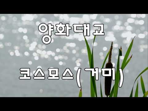 양화대교 - 코스모스 거미(Zion.T) / 복면가왕 26회 / 13대 복면가왕 / 가사 / kpop