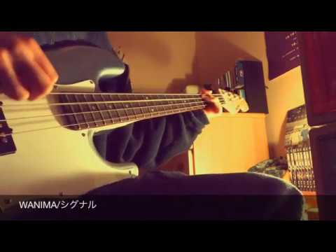 WANIMA/シグナル　ベースcover