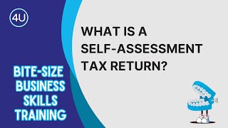 What Is a Self-Assessment Tax Return a bite-size guide