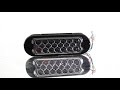 CE ETA LED STROBE OVAL FLUSH MNT C/