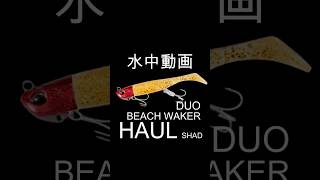 DUO　ビーチウォカー　ハウル　シャッド　水中映像　サーフ釣り　ショアジギング