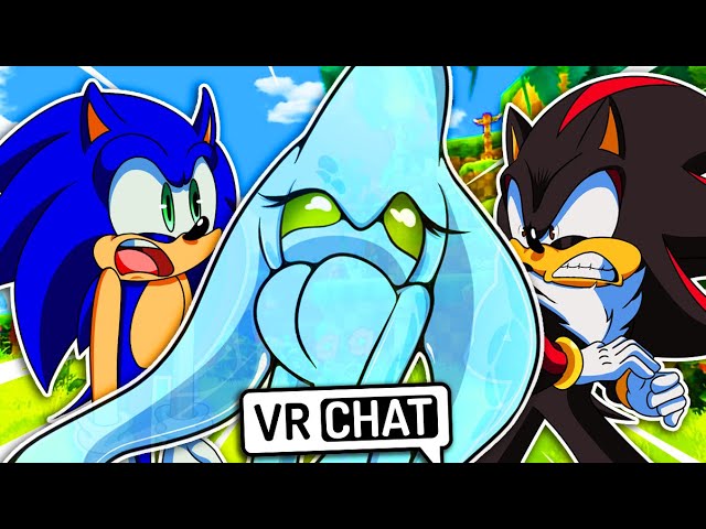 SONIC MEETS FEMALE NAZO IN VR CHAT! 