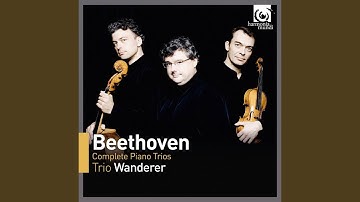 Trio for Piano, Violin and Violoncello No.1 in E Flat Major, Op.1 No.1: III. Scherzo. Allegro assai