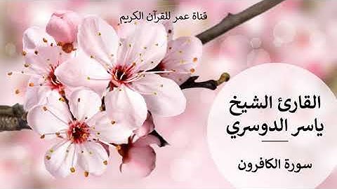 109 سورة الكافرون القارئ الشيخ ياسر الدوسري