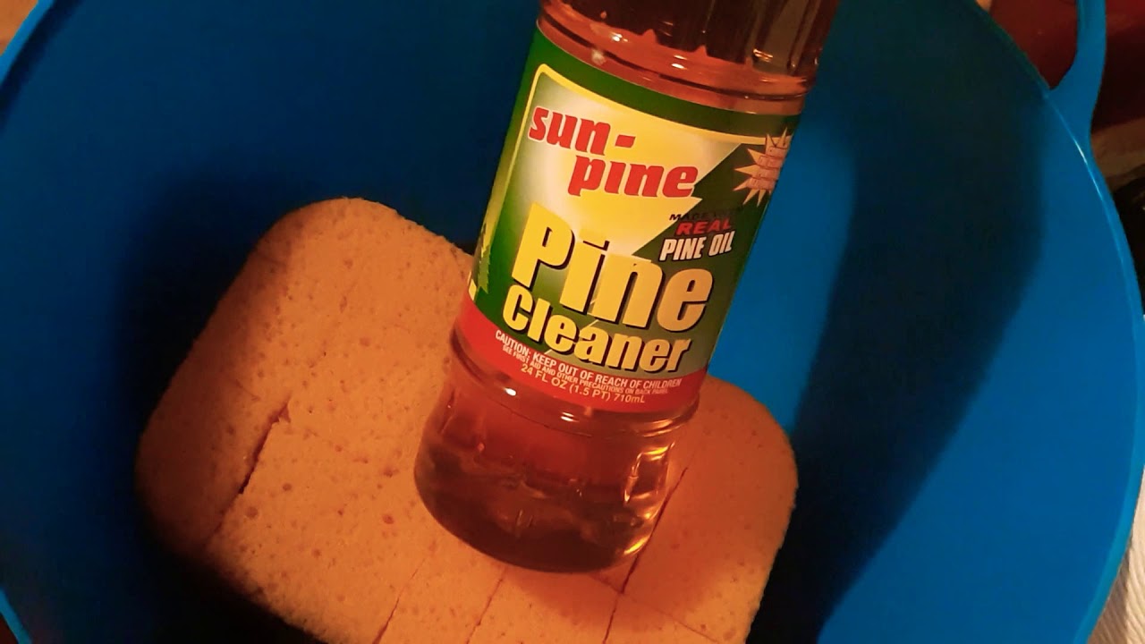 Sun Pine play w 2 cut grout sponges