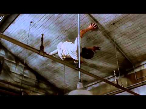 The Fly 1986 I Am Up Here Scene (HD)