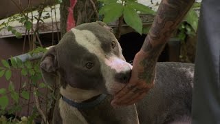 Angry Neighbor Confronts Rescuers of Neglected Pup