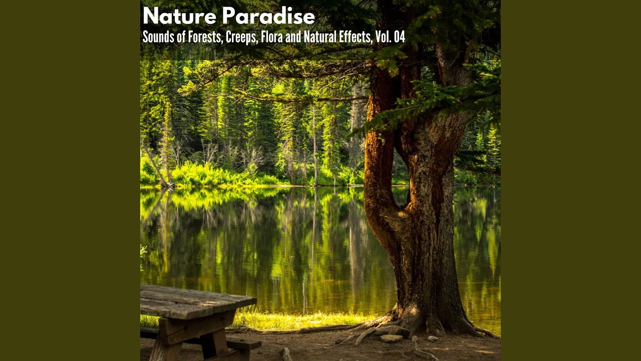 Tiny Golden Nature Birds