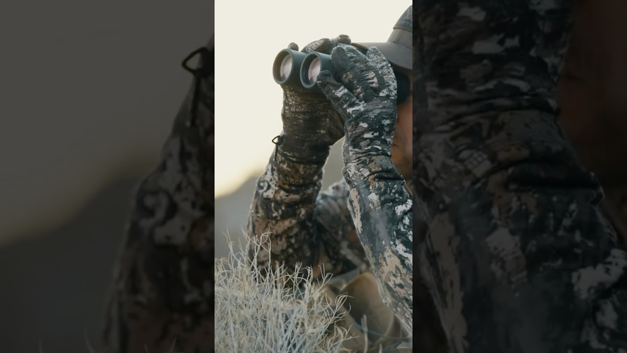 Обзор бинокля Vortex Talon HD. 