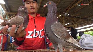 [GUNUNG SANGGAR BATUJAJAR] HIGHLIGHT BB-ZBR FAMILY