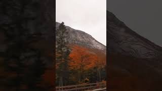 Admiring New Hampshire foliage